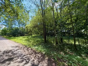 Prodej pozemku pro bydlení, Planá - Kříženec, 4165 m2
