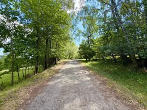 Prodej pozemku pro bydlení, Planá - Kříženec, 4165 m2