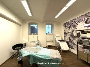 Pronájem komerční nemovitosti, Ústí nad Labem - Ústí nad Labem-centrum, Thomayerova, 50 m2