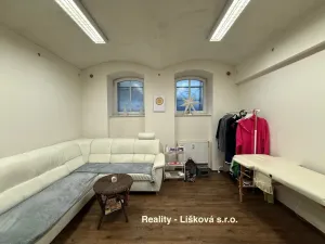 Pronájem komerční nemovitosti, Ústí nad Labem - Ústí nad Labem-centrum, Thomayerova, 50 m2