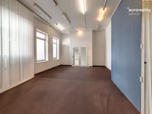Prodej vícegeneračního domu, Sokolov, U Divadla, 360 m2