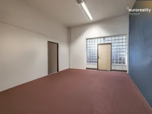 Prodej vícegeneračního domu, Sokolov, U Divadla, 360 m2