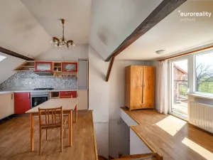 Prodej vícegeneračního domu, Sokolov, U Divadla, 360 m2