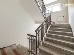 Prodej vícegeneračního domu, Sokolov, U Divadla, 360 m2