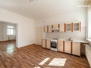 Prodej vícegeneračního domu, Sokolov, U Divadla, 360 m2