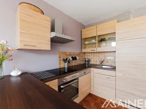 Prodej bytu 2+kk, Plzeň, Klatovská, 43 m2