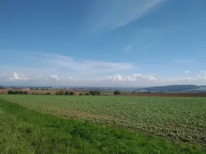 Prodej zahrady, Rataje, 668 m2