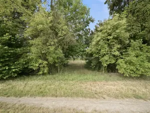 Prodej pozemku pro bydlení, Štěpánov, Březecká, 714 m2