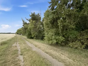Prodej pozemku pro bydlení, Štěpánov, Březecká, 714 m2