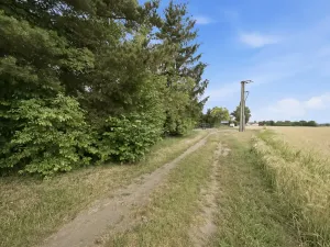 Prodej pozemku pro bydlení, Štěpánov, Březecká, 714 m2