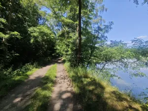 Prodej rodinného domu, Chodov, Lesní, 202 m2