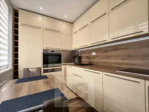 Pronájem bytu 3+kk, Ostrava, Výškovická, 70 m2