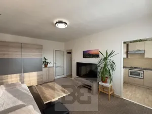 Pronájem bytu 1+1, Ostrava, Ježkova, 30 m2