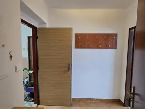Prodej bytu 1+1, Borotín, 47 m2