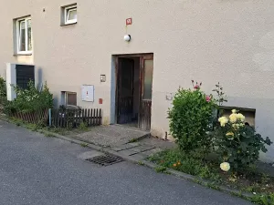 Prodej bytu 1+1, Borotín, 47 m2