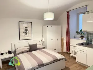 Pronájem bytu 1+kk, Praha - Nové Město, Washingtonova, 25 m2