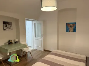 Pronájem bytu 1+kk, Praha - Nové Město, Washingtonova, 25 m2