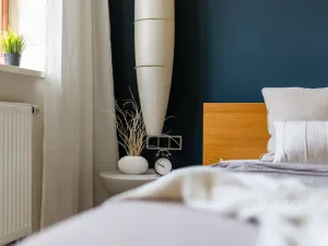Prodej bytu 2+kk, České Budějovice - České Budějovice 3, B. Smetany, 56 m2