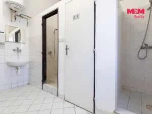 Prodej výrobních prostor, Ostrava - Moravská Ostrava, Pohraniční, 388 m2
