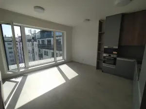 Pronájem bytu 2+kk, Praha - Holešovice, V háji, 55 m2