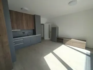 Pronájem bytu 2+kk, Praha - Holešovice, V háji, 55 m2