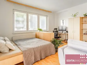 Pronájem bytu 1+kk, Olomouc, Handkeho, 43 m2