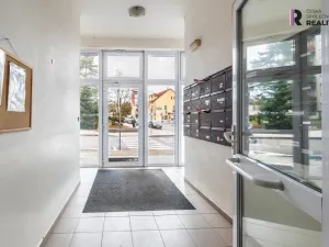 Pronájem bytu 2+kk, Benešov, Dukelská, 53 m2