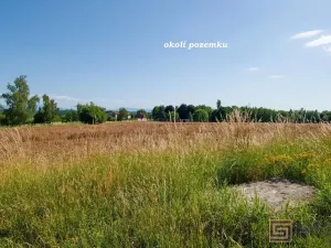 Prodej chaty, Ostrava, Radvanická, 36 m2