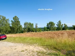 Prodej chaty, Ostrava, Radvanická, 36 m2