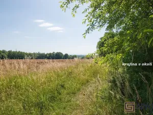 Prodej chaty, Ostrava, Radvanická, 36 m2