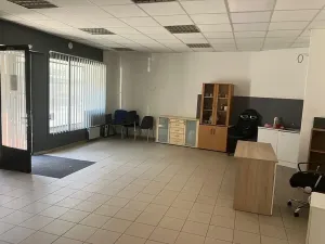 Prodej rodinného domu, Brandýs nad Labem-Stará Boleslav, 250 m2