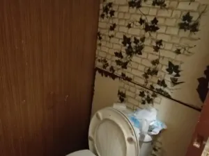 Pronájem bytu 1+kk, Jeseník, Horská, 25 m2