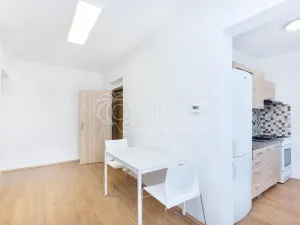 Prodej bytu 3+1, Jistebnice - Ostrý, 55 m2