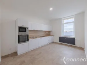 Prodej bytu 2+kk, Přerov - Přerov I-Město, Husova, 42 m2