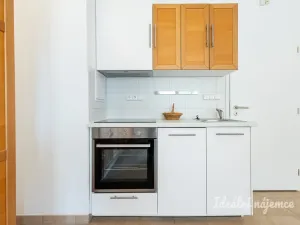 Pronájem bytu 1+kk, Praha - Dejvice, Máslova, 34 m2