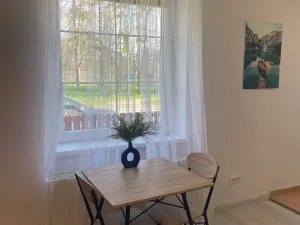Pronájem bytu 2+kk, Hořín, 42 m2