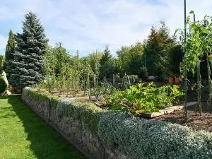 Prodej rodinného domu, Statenice, 202 m2