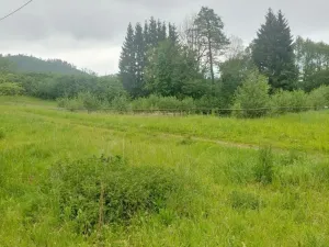 Prodej apartmánu, Písařov - Bukovice, 520 m2