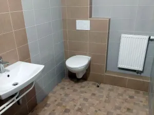 Prodej apartmánu, Písařov - Bukovice, 520 m2