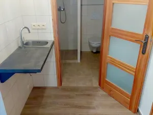 Prodej apartmánu, Písařov - Bukovice, 520 m2