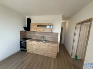 Pronájem bytu 1+1, Chomutov, Pod Břízami, 36 m2