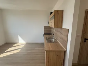 Pronájem bytu 1+1, Chomutov, Pod Břízami, 36 m2