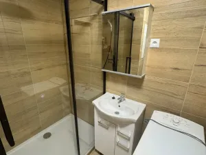 Pronájem bytu 1+1, Chomutov, Pod Břízami, 36 m2