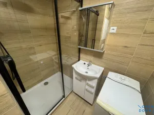 Pronájem bytu 1+1, Chomutov, Pod Břízami, 36 m2