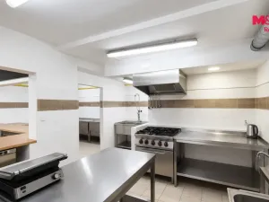 Pronájem obchodního prostoru, Most, Javorová, 58 m2