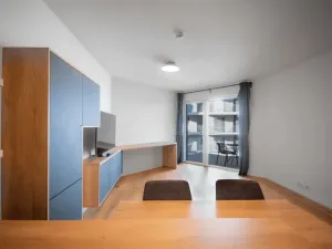 Prodej bytu 1+kk, Praha, Ramonova, 42 m2