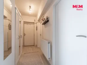 Prodej bytu 3+1, Bříství, 64 m2