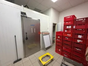 Pronájem skladu, Litvínov - Horní Litvínov, náměstí Míru, 21 m2