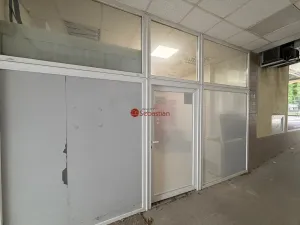 Pronájem skladu, Litvínov - Horní Litvínov, náměstí Míru, 21 m2