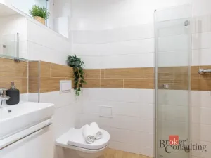 Pronájem bytu 2+kk, Brno - Staré Brno, Ypsilantiho, 39 m2